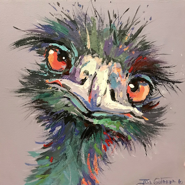 Emu 29